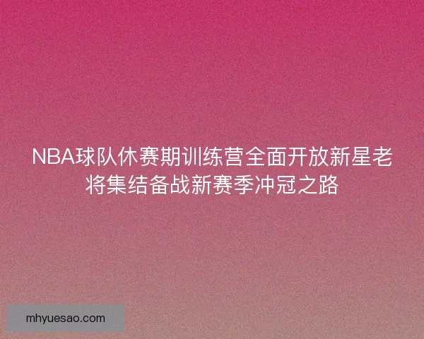 NBA球队休赛期训练营全面开放新星老将集结备战新赛季冲冠之路